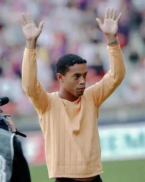 不仅可以提 不仅可以提